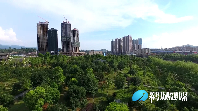 迎丰1.jpg