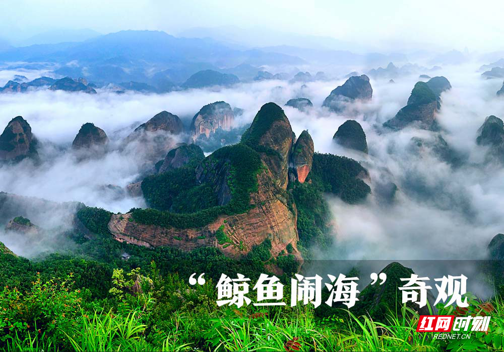 图片102.png