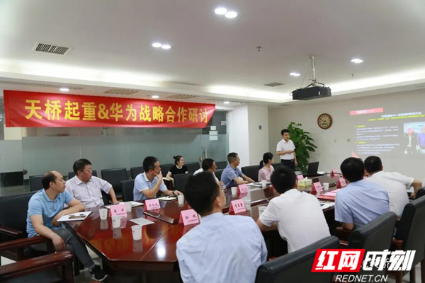 天桥起重研讨_副本.jpg