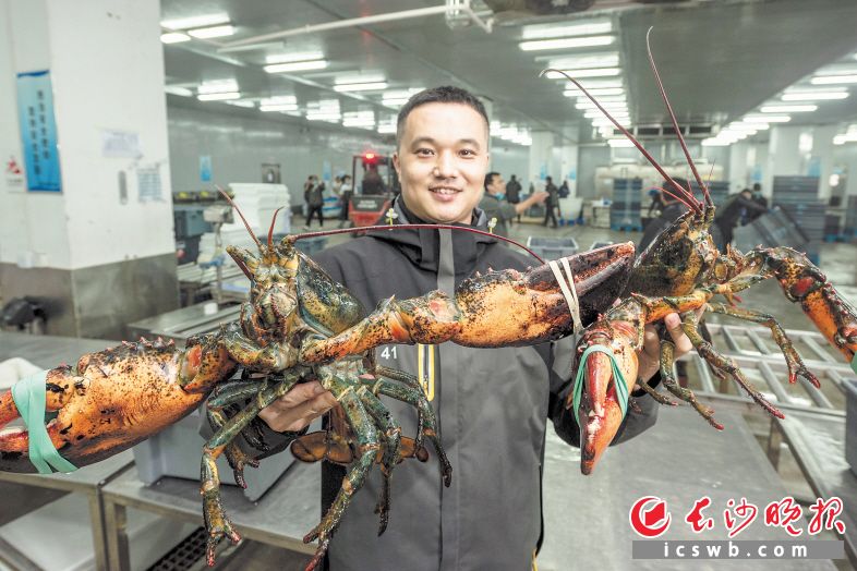 　　目前，长沙黄花综保区已吸引10余家海鲜贸易企业落户,可从全球20多个国家和地区采购多达40余品类的海鲜产品。陈飞 摄