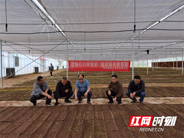 屋场会4.jpg