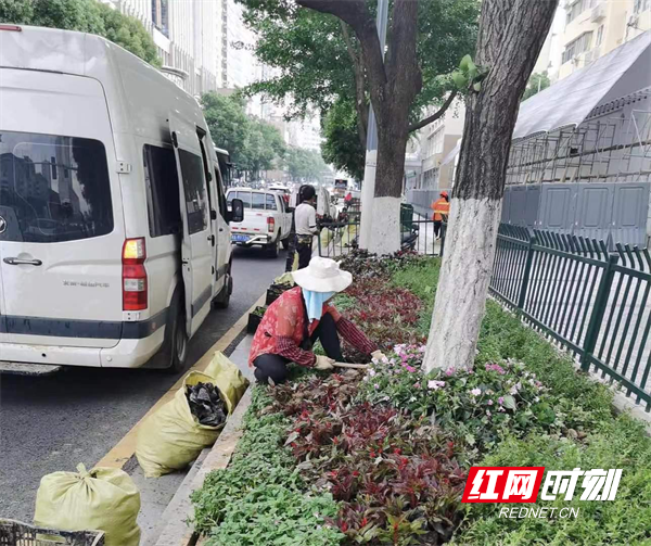 园林中心工作人员进行栽花.png