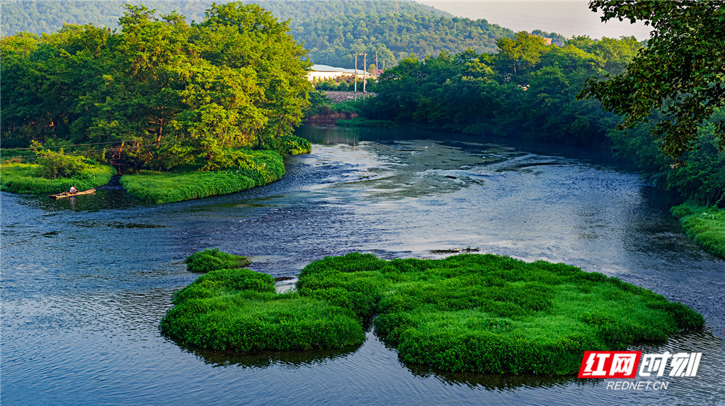 16.湿地魂_DSC5158-1_副本.jpg