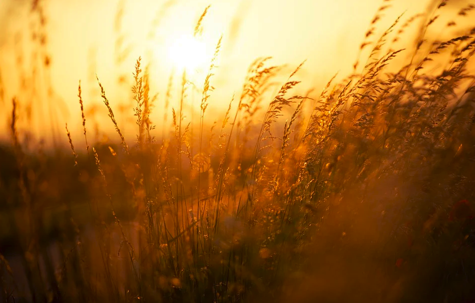 WX20210623-092824.png WX20210623-092824.png