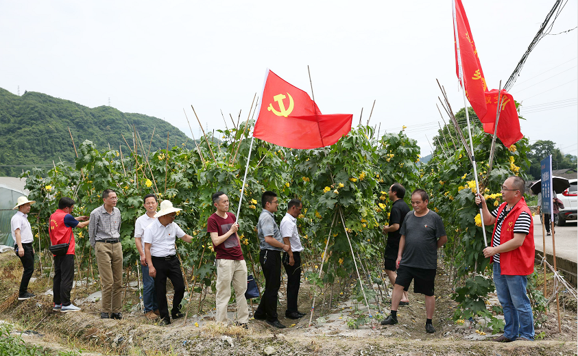 实地操作（悬挂诱蝇球）2.png