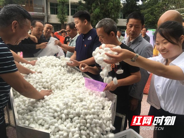 图片30.jpg