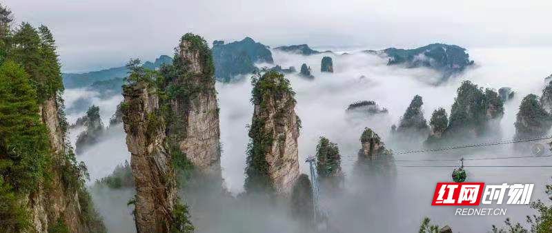 微信图片_20210624145435.jpg