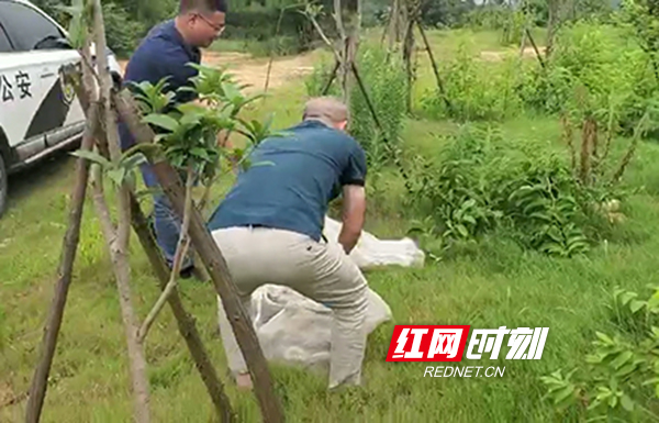 图片26.jpg