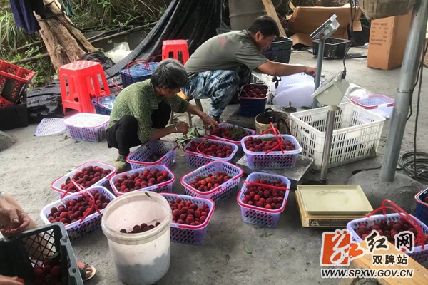 微信图片_20210616113456 (1)_副本_副本.jpg