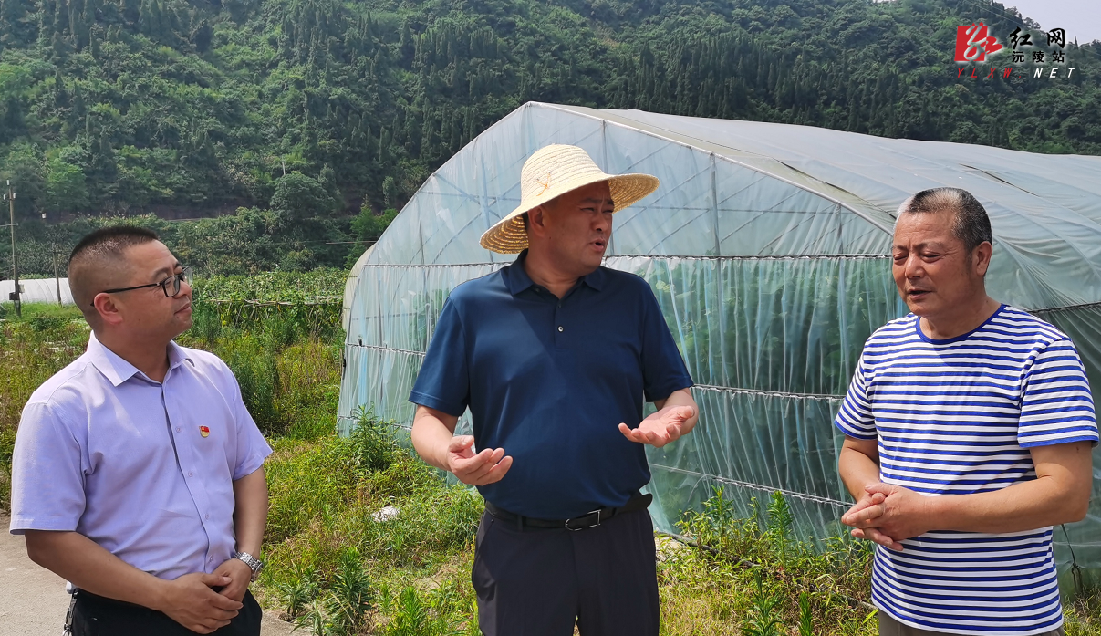 刘向阳深入凉水井镇调研指导工作