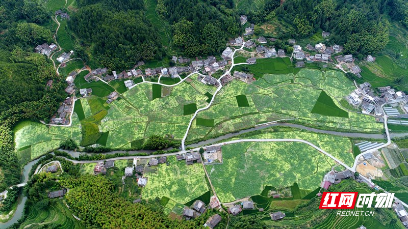 时小刻在现场|湘赣边区示范区建设的力度,广度,深度不断拓展