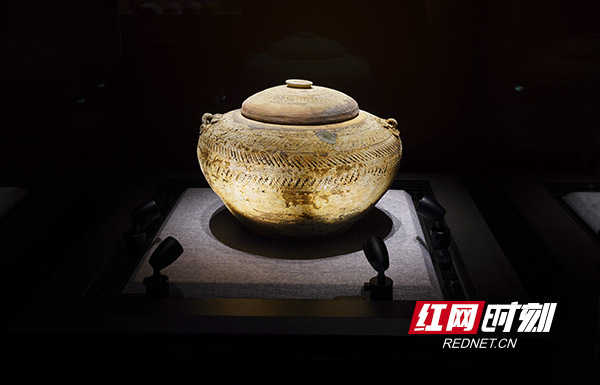 WechatIMG41.jpg WechatIMG41.jpg