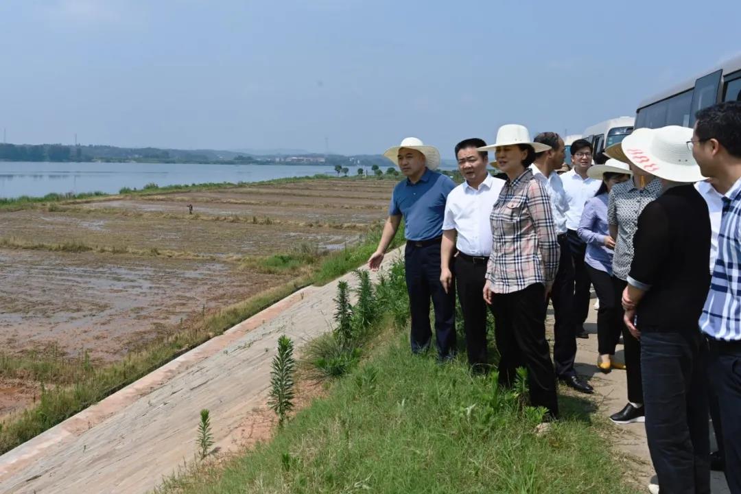 黄兰香在湘潭堤实地了解防汛工作情况.jpg