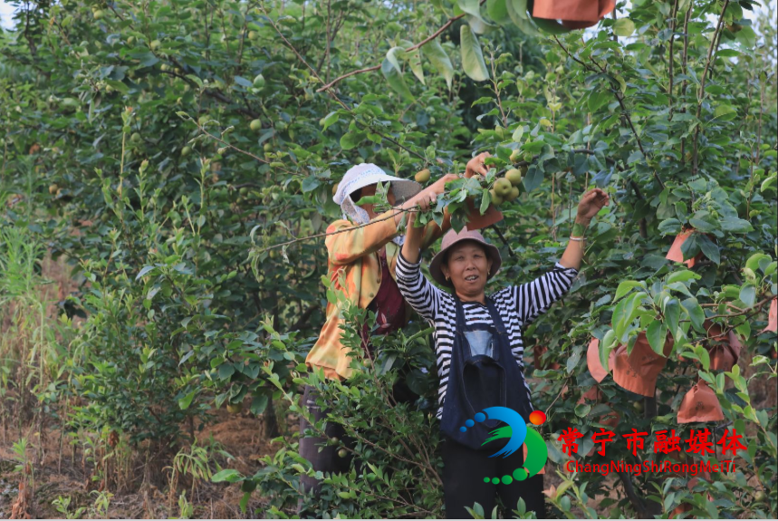 微信截图_20210626190319.png 微信截图_20210626190319.png