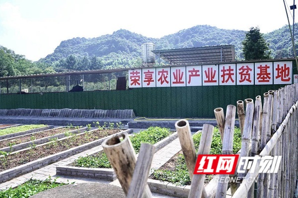 gaitubao_微信图片_20210626122050.jpg