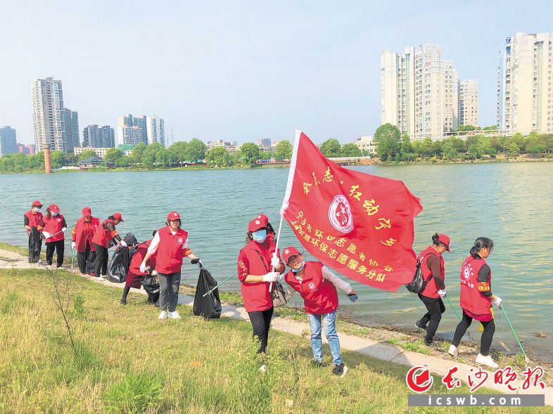 　　宁乡市的志愿者来到沩水沿岸开展净滩行动，让自己的家园更美。