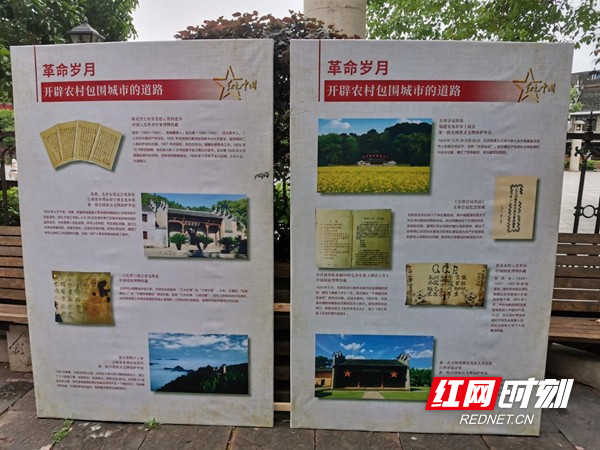 图片49.jpg