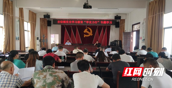 凤凰县吉信镇:深入开展党史学习教育"学史力行"专题学习