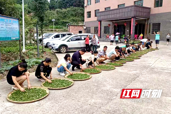 微信图片_20210630104228.jpg