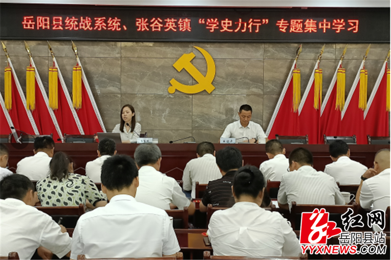 苏红琳 (2) (1).png