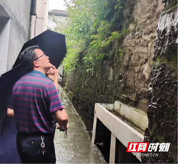 图片31.jpg
