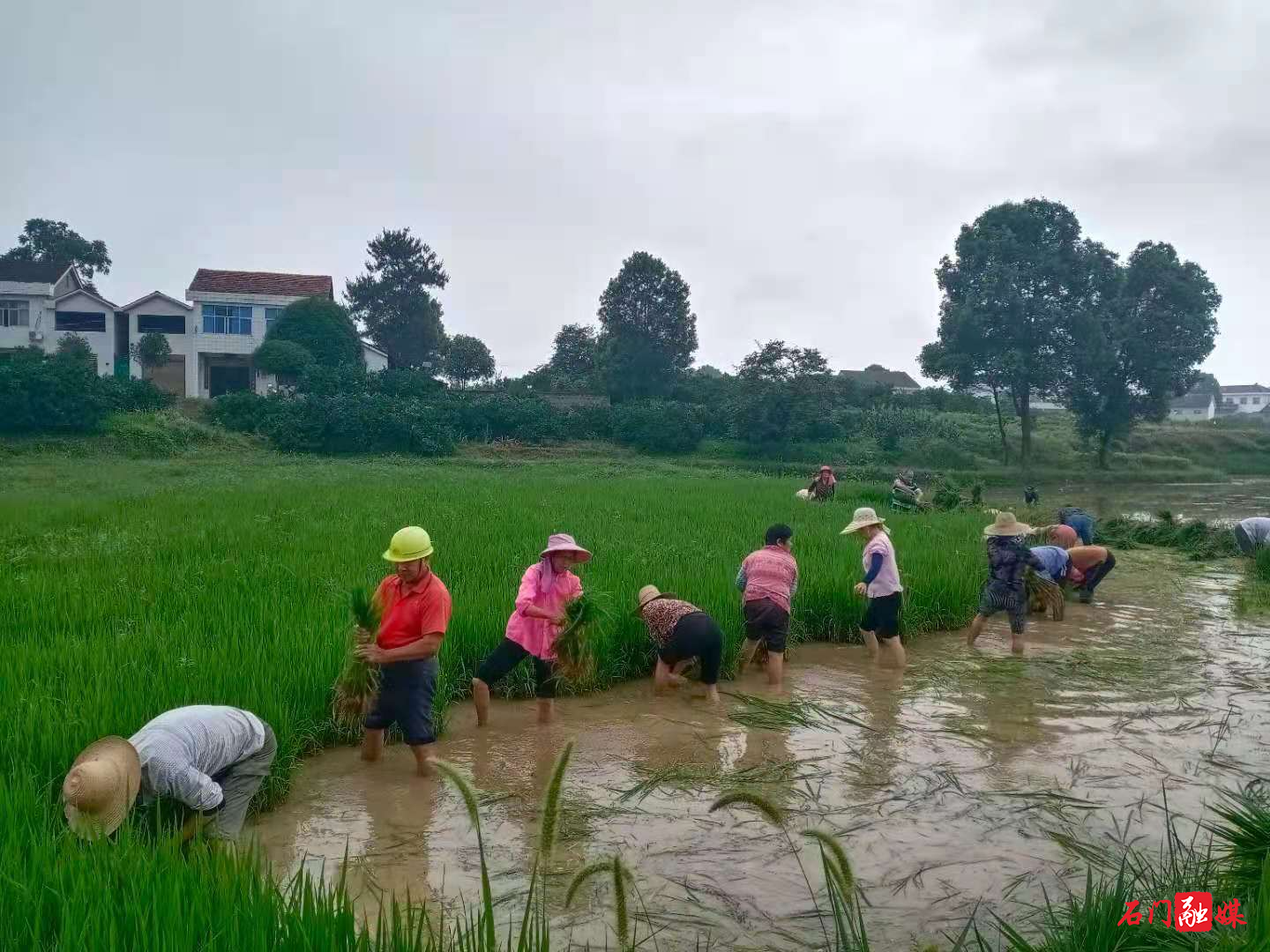 14/uploads/image/2021/07/04/145d02b5067542504f498d5566ca9e0d.jpg 14/uploads/image/2021/07/04/145d02b5067542504f498d5566ca9e0d.jpg