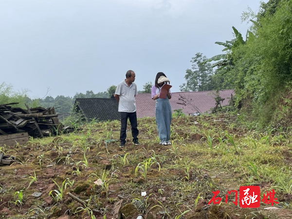 proxy (3).jpg proxy (3).jpg