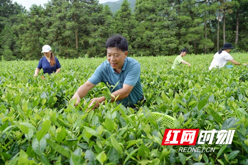 DSC_5927 - 副本.JPG