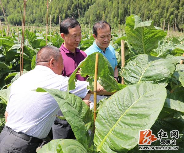 微信图片_20210706163058_副本_副本.jpg