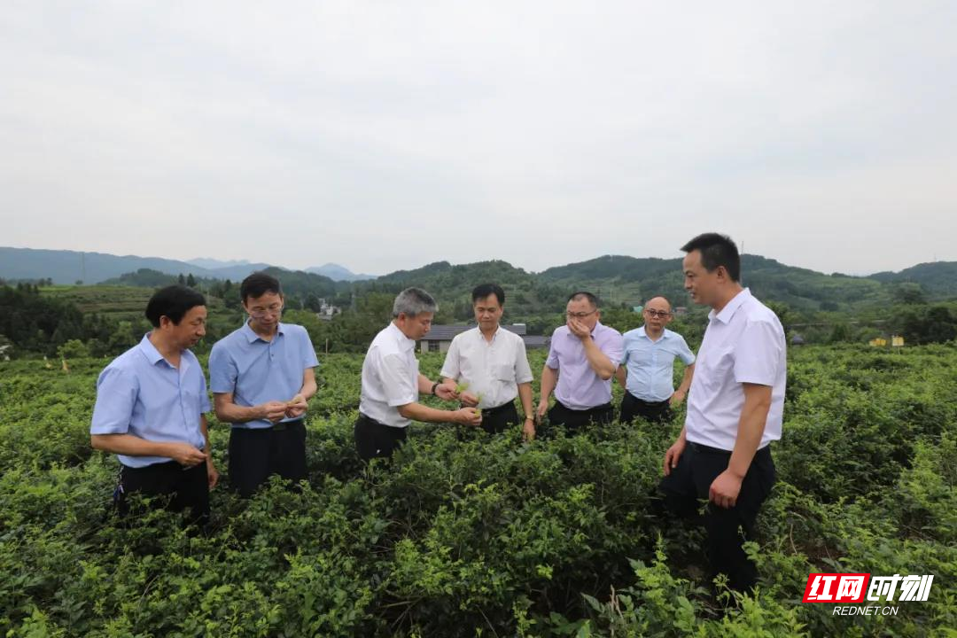 微信图片_20210706223446.jpg 微信图片_20210706223446.jpg