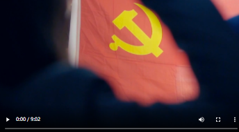 11.png