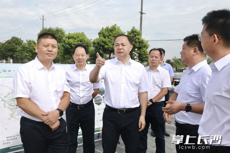 郑建新在复胜村虢大湾屋场调研。刘书勤摄