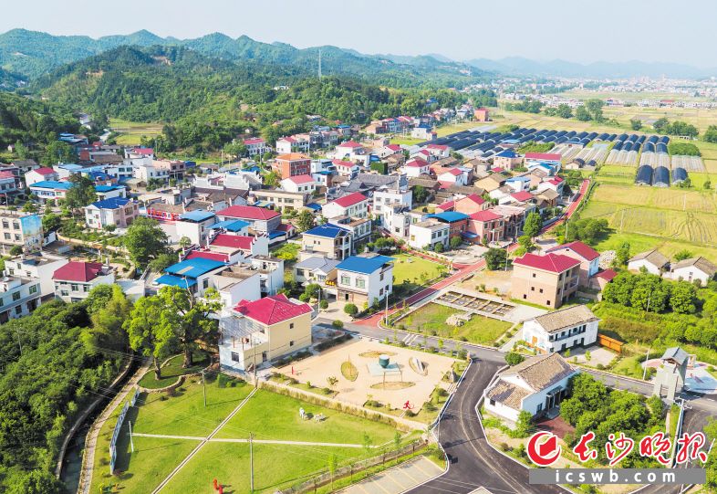 “红色底蕴”成为助推浏阳村级集体经济发展和村民增收致富的强大动力。图为文家市镇沙溪屋场。长沙晚报全媒体记者 邹麟 摄