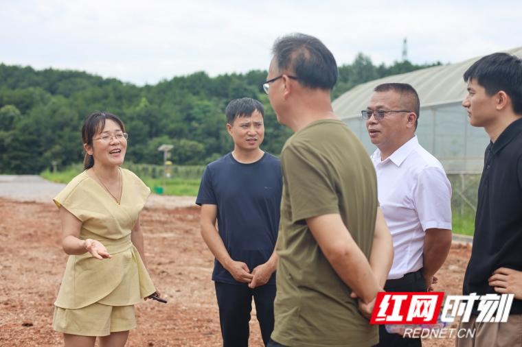 WPS图片-修改尺寸.jpg