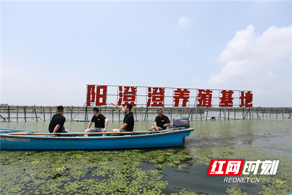 图片3.png