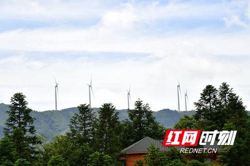 DSC_7661 - 副本.JPG