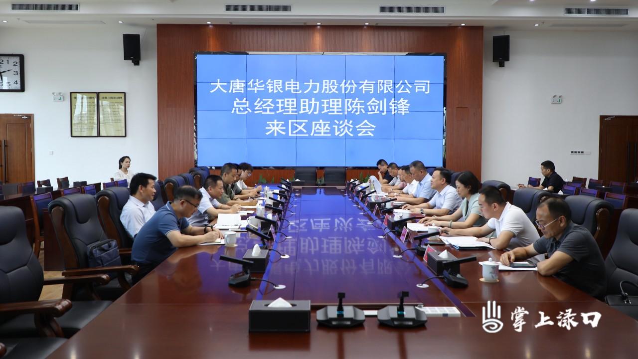李晓彤,赖晓智会见大唐华银电力股份有限公司总经理助理陈剑锋一行