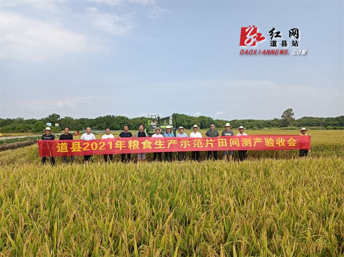 湖南省农业农村厅对道县早稻生产示范片进行田间测产验收