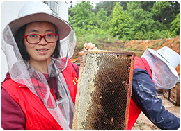 24-彭英.png 24-彭英.png