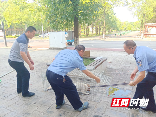 微信图片_20210714094631_副本.jpg