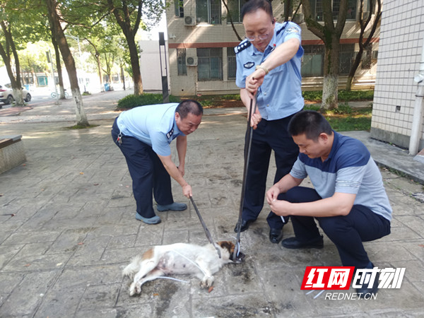微信图片_20210714094645_副本.jpg
