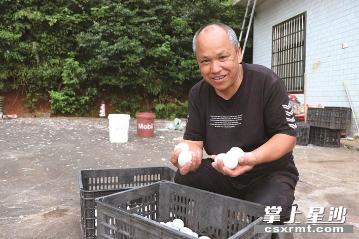 长沙县：小民宿大产业，让农民在家门口致富