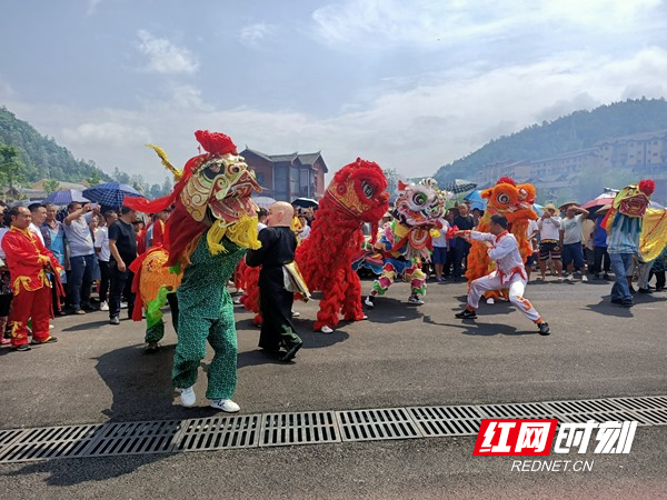 舞龙狮.jpg