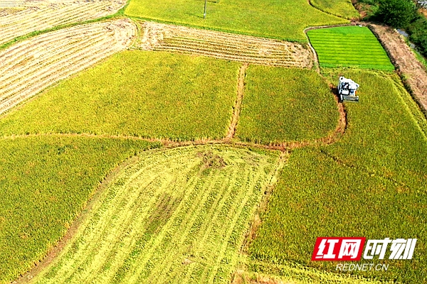 DJI_0952.MP4_20210715_185305.419.jpg