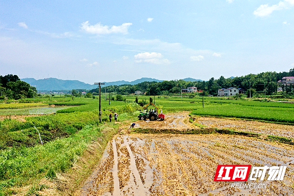 DJI_0967_副本.jpg