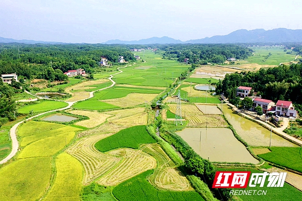 DJI_0946.MP4_20210715_193308.515.jpg