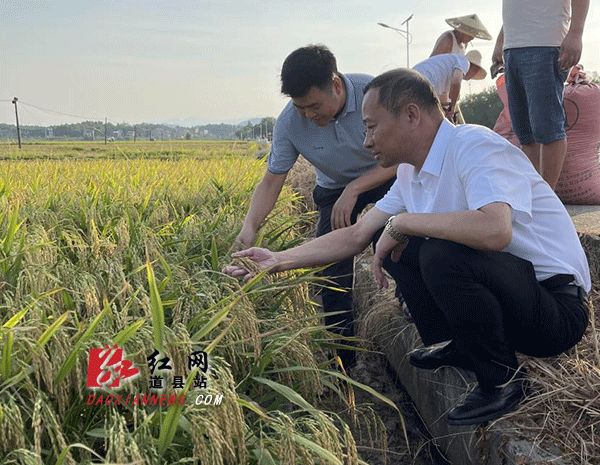现场验收.gif
