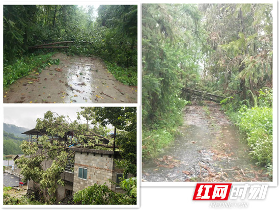雨后1_副本.jpg