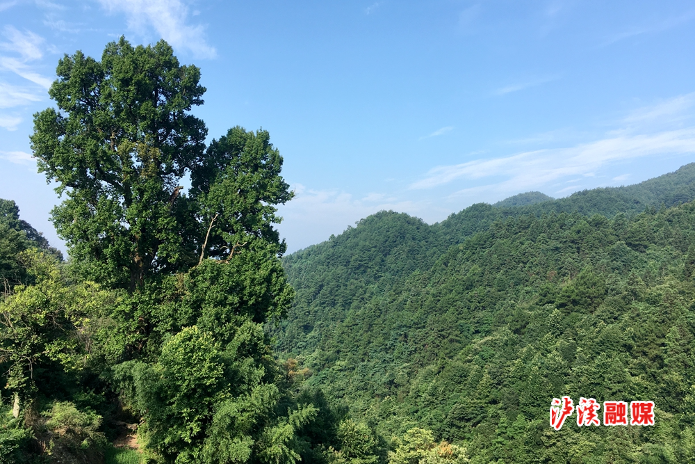 IMG_0173_副本.jpg IMG_0173_副本.jpg