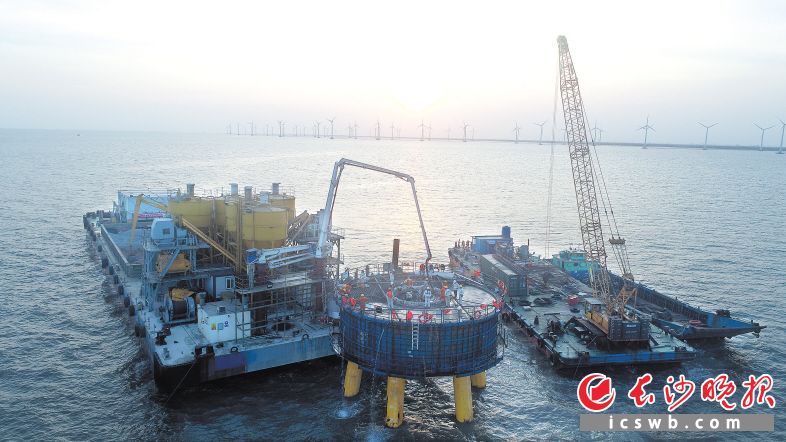 中南院承建的越南朔庄一期海上风电项目。